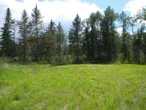 Just listed  Homes for sale 115 Meadow Ponds Drive  in  Rural Clearwater County 