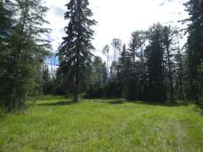 Just listed  Homes for sale 123 Meadow Ponds Drive  in  Rural Clearwater County 