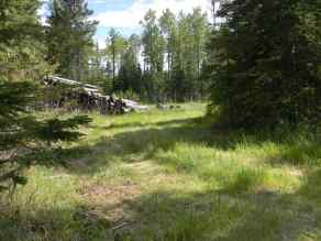 Just listed  Homes for sale 135 Meadow Ponds Drive  in  Rural Clearwater County 