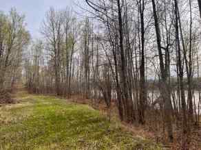 Just listed NONE Homes for sale Lot #7 Survey Road  in NONE Athabasca 