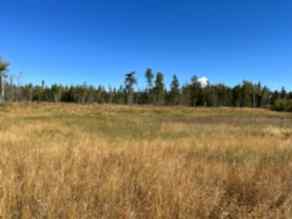 Just listed NONE Homes for sale  PAVED RANGE 25   in NONE Rural Red Deer County 