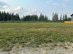 Just listed NONE Homes for sale NE25-53-19-W3 Lot 2 - 16   in NONE Turtle Lake 