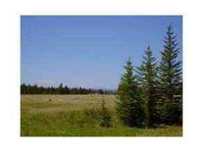 Just listed NONE Homes for sale  Range Road 55   in NONE Rural Mountain View County 