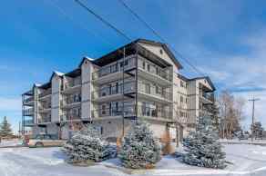 Just listed NONE Homes for sale Unit-207-408 1st Avenue SE in NONE Diamond Valley 