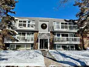 Just listed Downtown Red Deer Homes for sale 201, 4814 46 Street  in Downtown Red Deer Red Deer 
