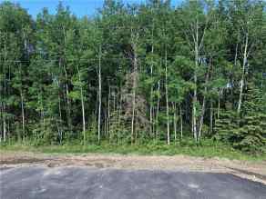Just listed NONE Homes for sale Lot 9 Campsite Road   in NONE Plamondon 
