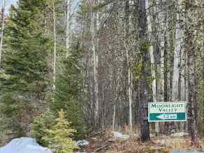 Just listed NONE Homes for sale  RR 184   in NONE Rural Yellowhead County 
