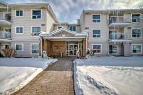 Just listed Falconridge Homes for sale 202, 5555 Falsbridge Drive NE in Falconridge Calgary 