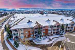 Residential Lynx Ridge Calgary homes