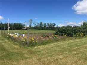 Just listed NONE Homes for sale Lot 1 Block 1 Plan 0729985   in NONE Plamondon 