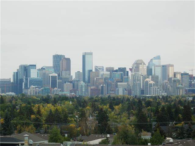 MLS® #C4161015 - #1008 80 Point Mckay CR Nw in Point McKay Calgary