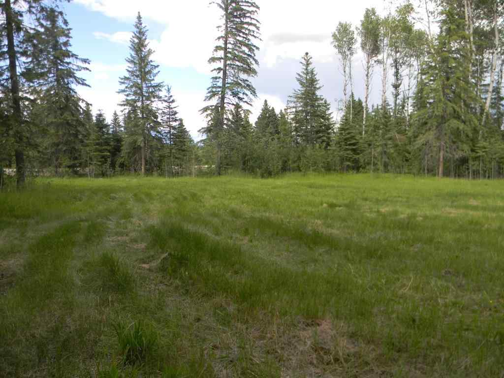 MLS® A1021029 - 119 Meadow Ponds Drive  in Diamond Willow Estates Rural Clearwater County, Land