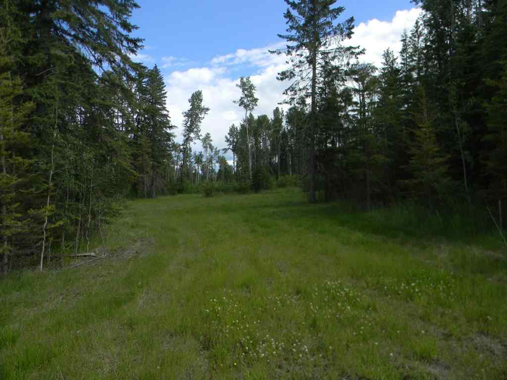 MLS® A1021029 - 119 Meadow Ponds Drive  in Diamond Willow Estates Rural Clearwater County, Land