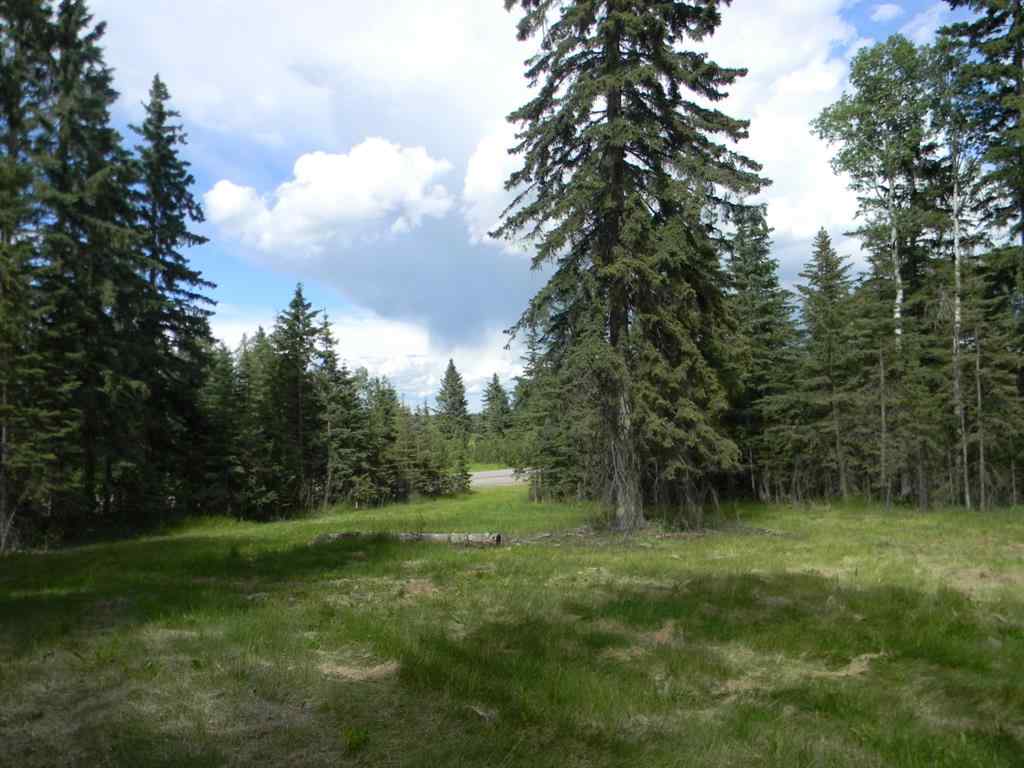 MLS® A1021042 - 123 Meadow Ponds Drive  in Diamond Willow Estates Rural Clearwater County, Land