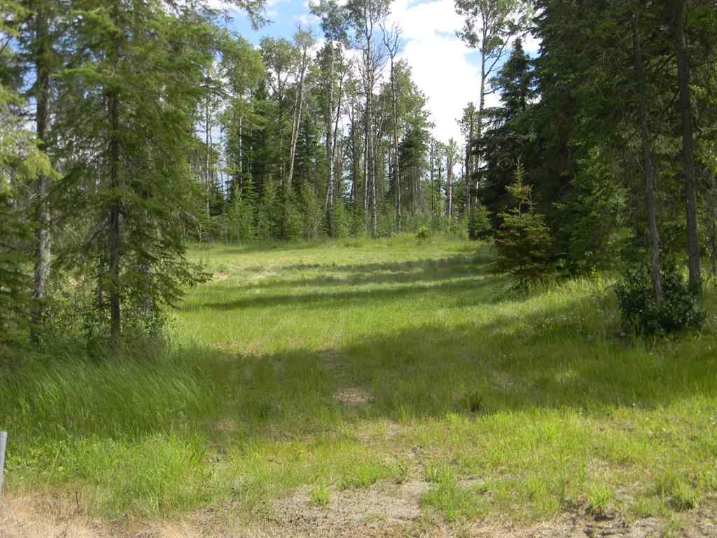 MLS® A1021050 - 127 Meadow Ponds Drive  in Diamond Willow Estates Rural Clearwater County, Land