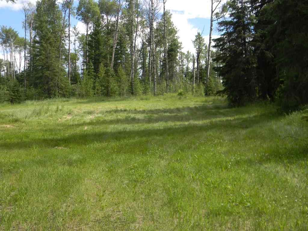MLS® A1021050 - 127 Meadow Ponds Drive  in Diamond Willow Estates Rural Clearwater County, Land