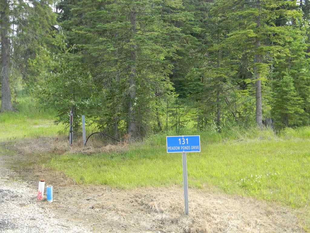 MLS® A1021056 - 131 Meadow Ponds Drive  in Diamond Willow Estates Rural Clearwater County, Land