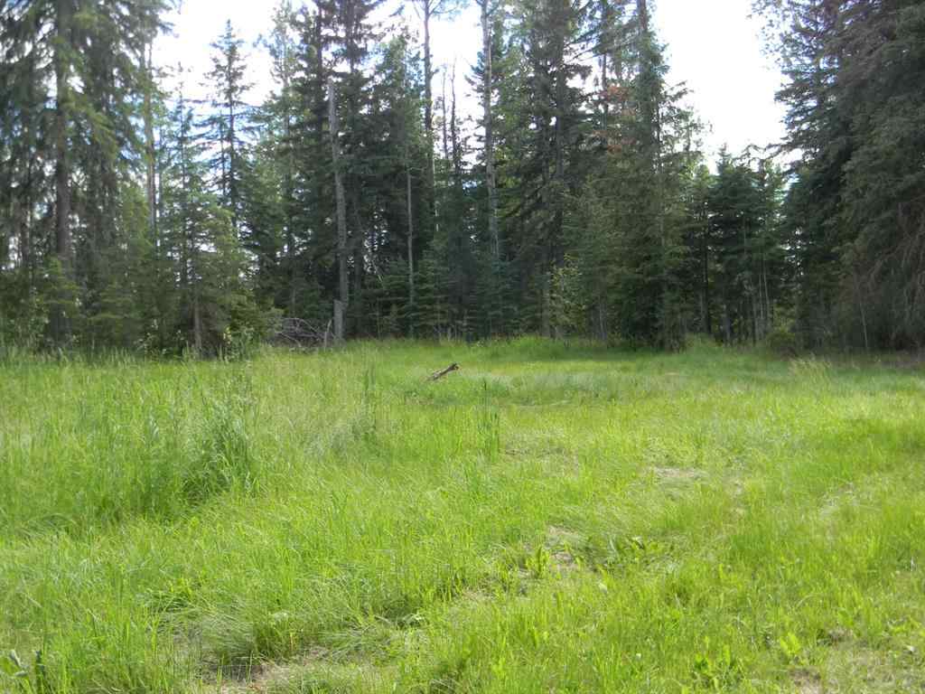 MLS® A1021056 - 131 Meadow Ponds Drive  in Diamond Willow Estates Rural Clearwater County, Land