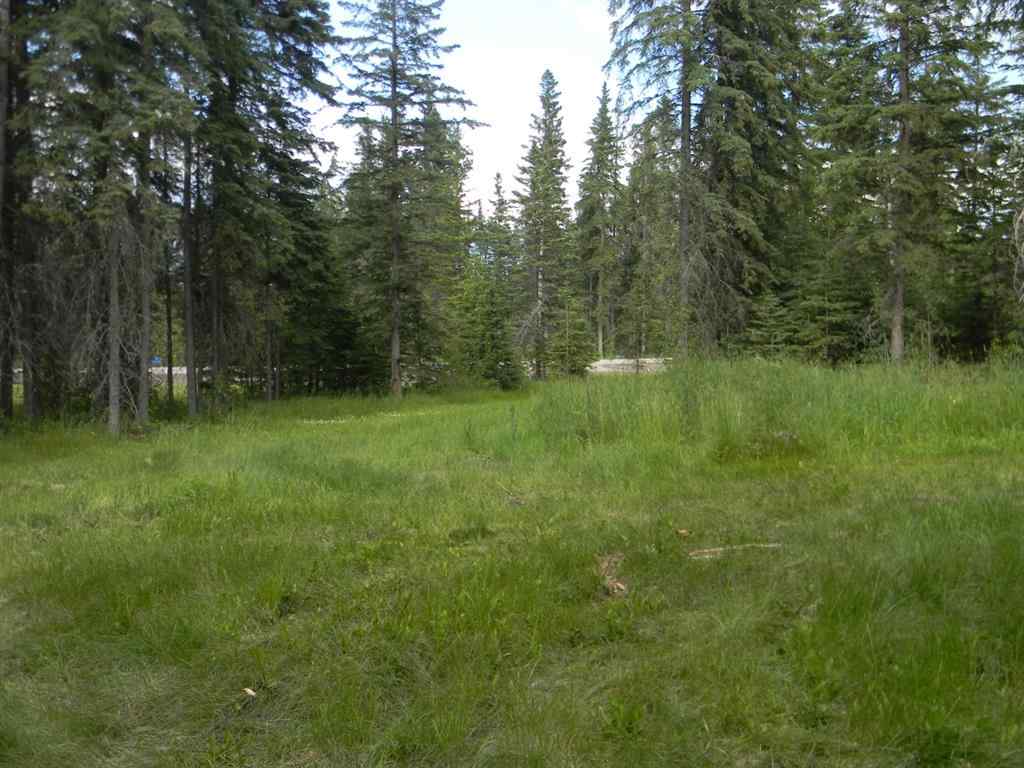 MLS® A1021056 - 131 Meadow Ponds Drive  in Diamond Willow Estates Rural Clearwater County, Land