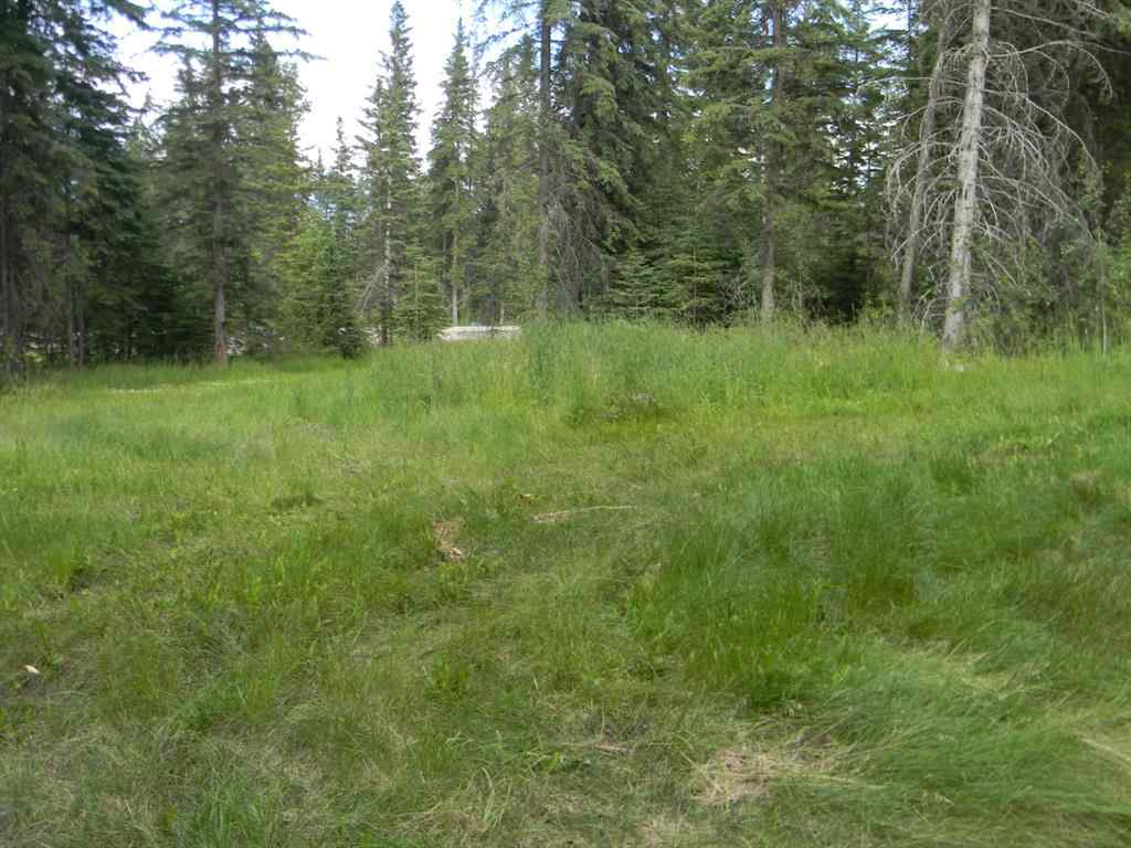 MLS® A1021056 - 131 Meadow Ponds Drive  in Diamond Willow Estates Rural Clearwater County, Land