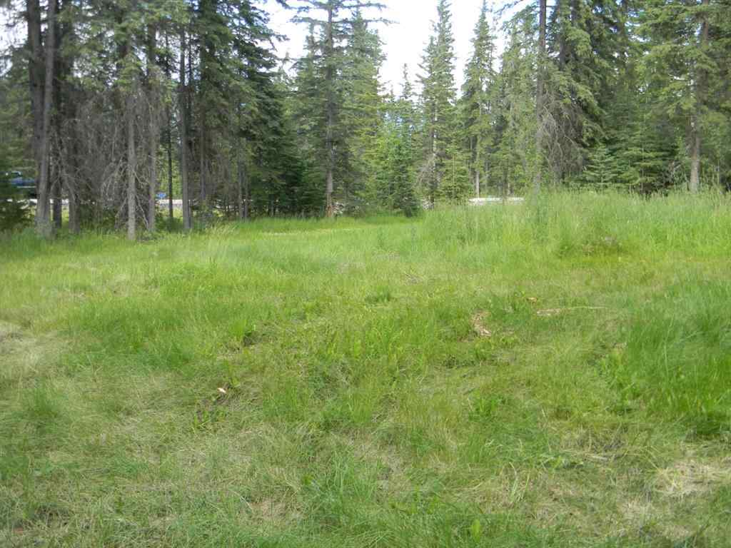 MLS® A1021056 - 131 Meadow Ponds Drive  in Diamond Willow Estates Rural Clearwater County, Land