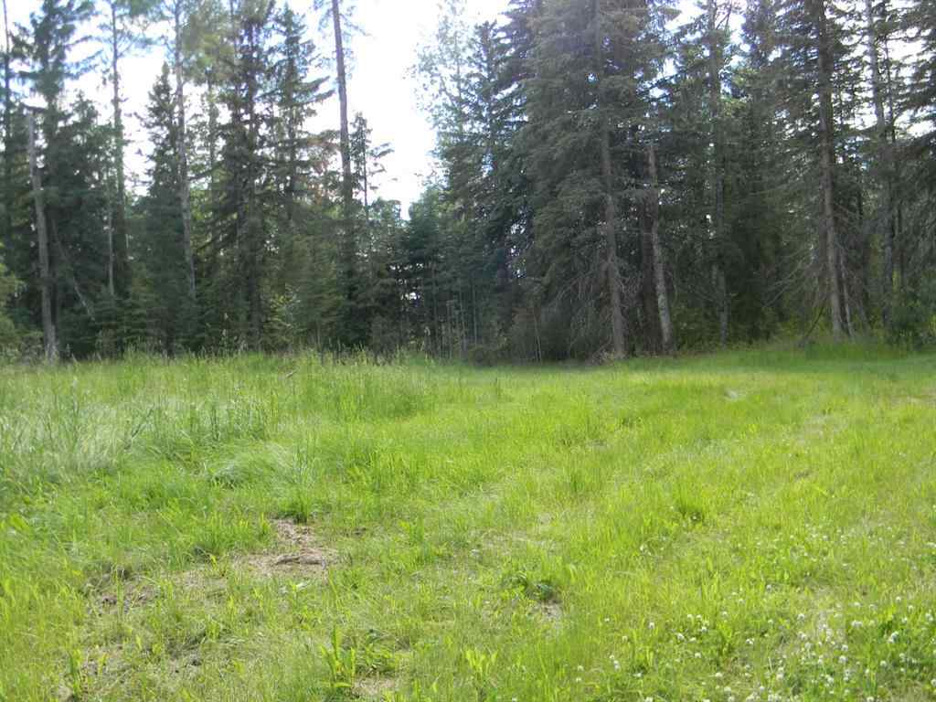 MLS® A1021056 - 131 Meadow Ponds Drive  in Diamond Willow Estates Rural Clearwater County, Land