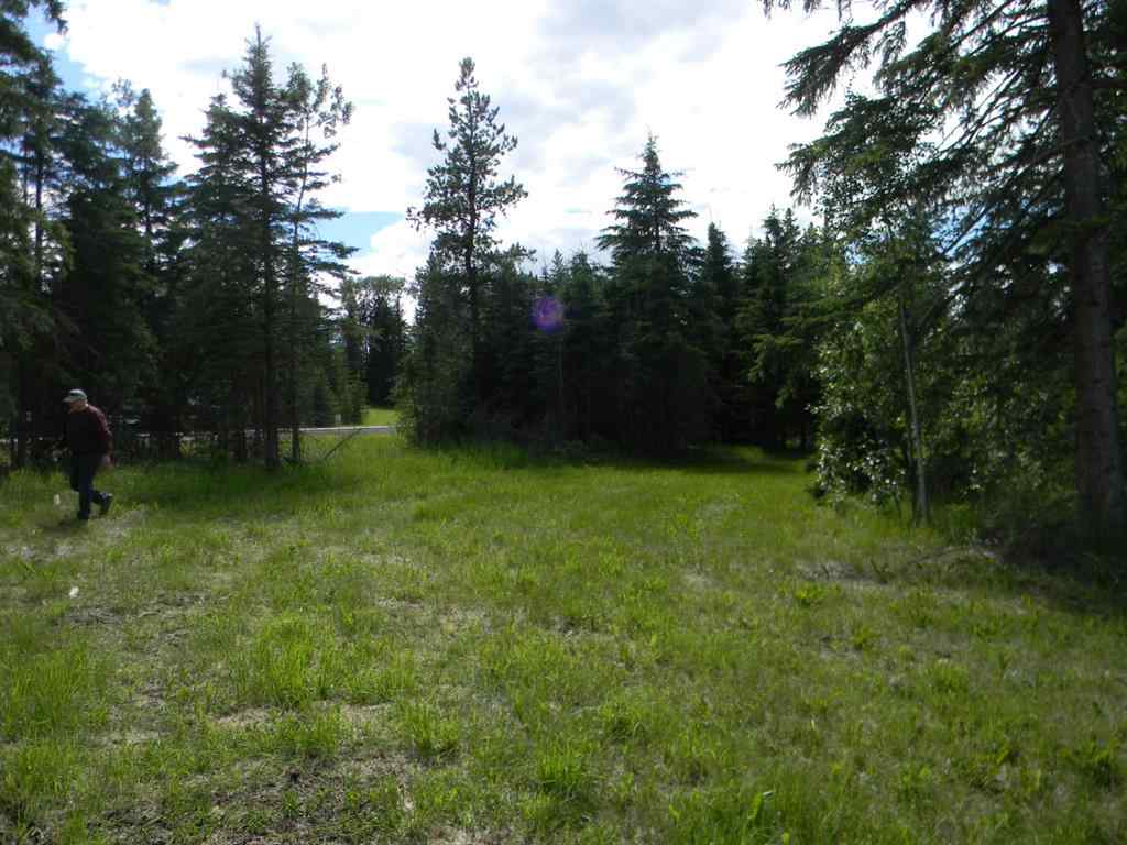 MLS® A1021112 - 116 Meadow Ponds Drive  in Diamond Willow Estates Rural Clearwater County, Land