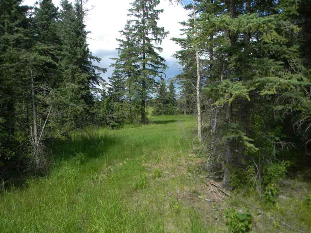 MLS® A1021112 - 116 Meadow Ponds Drive  in Diamond Willow Estates Rural Clearwater County, Land