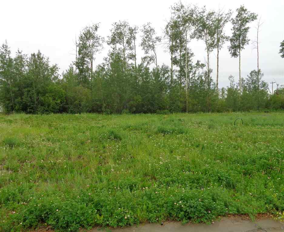 MLS® A1027521 - 29 Chonkolay Drive  in NONE High Level, Land