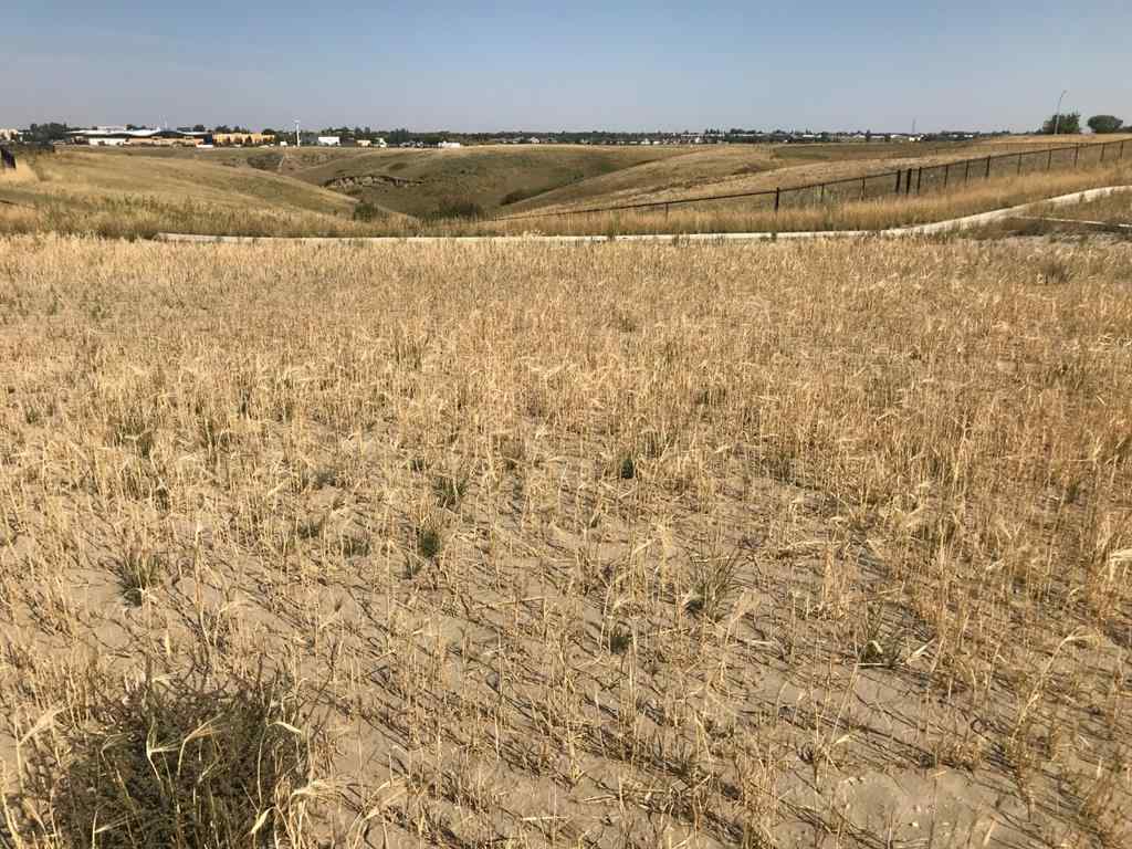 MLS® A1037687 - 123 Sandstone Road S in Southridge Lethbridge, Land