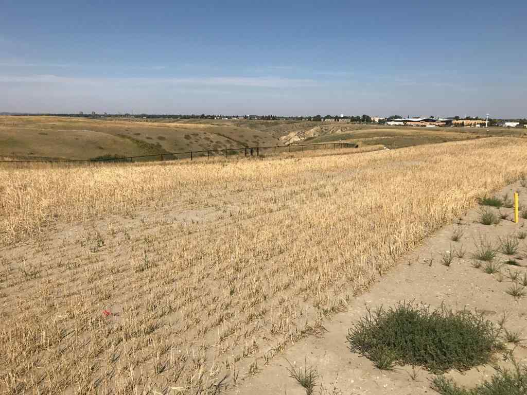MLS® A1037880 - 508 Gold Canyon Place S in Southridge Lethbridge, Land