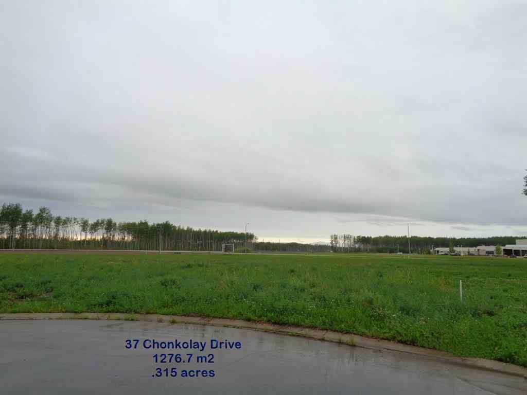 MLS® A1047083 - 37 Chonkolay Drive  in NONE High Level, Land