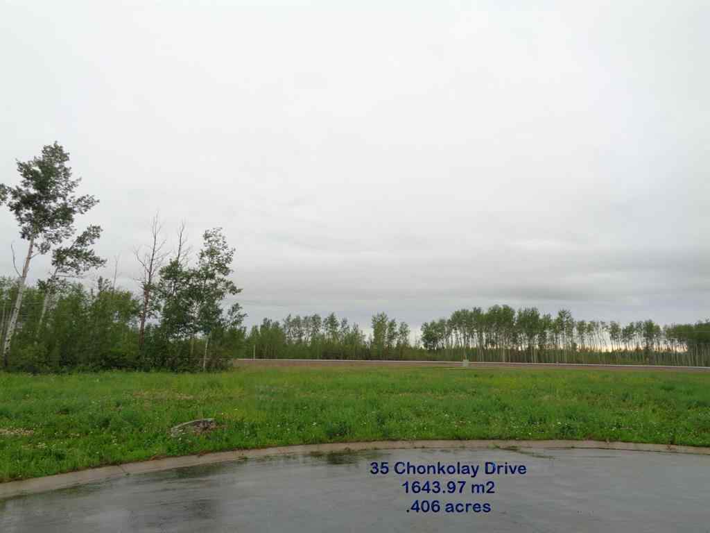 MLS® A1047083 - 37 Chonkolay Drive  in NONE High Level, Land