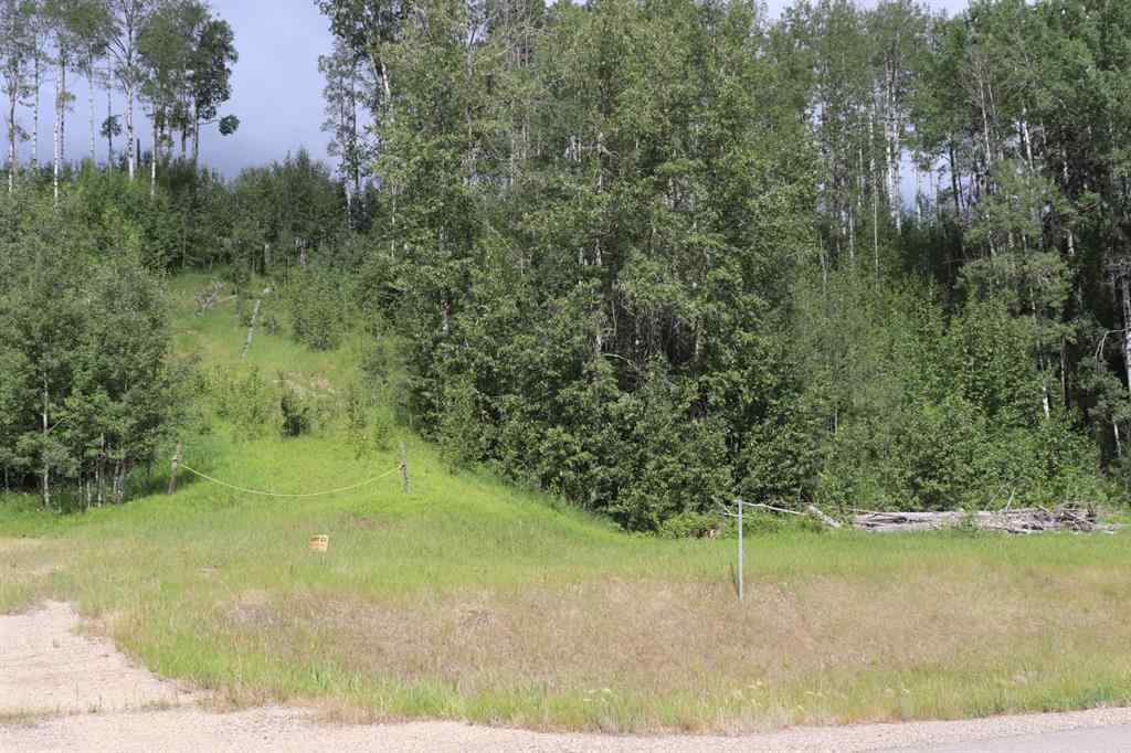 MLS® A1128554 - 16511 Township Road 532A #23   in NONE Rural Yellowhead County, Land