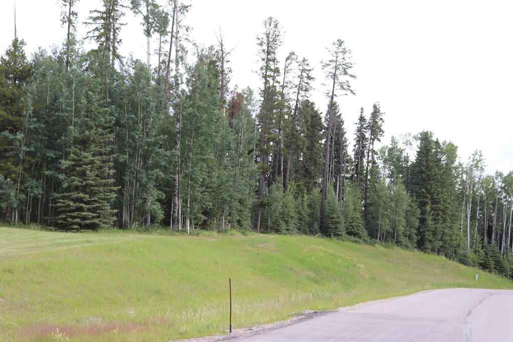 MLS® A1128566 - Unit #48 16511 Township Road 532A Subdivision  in NONE Rural Yellowhead County, Land