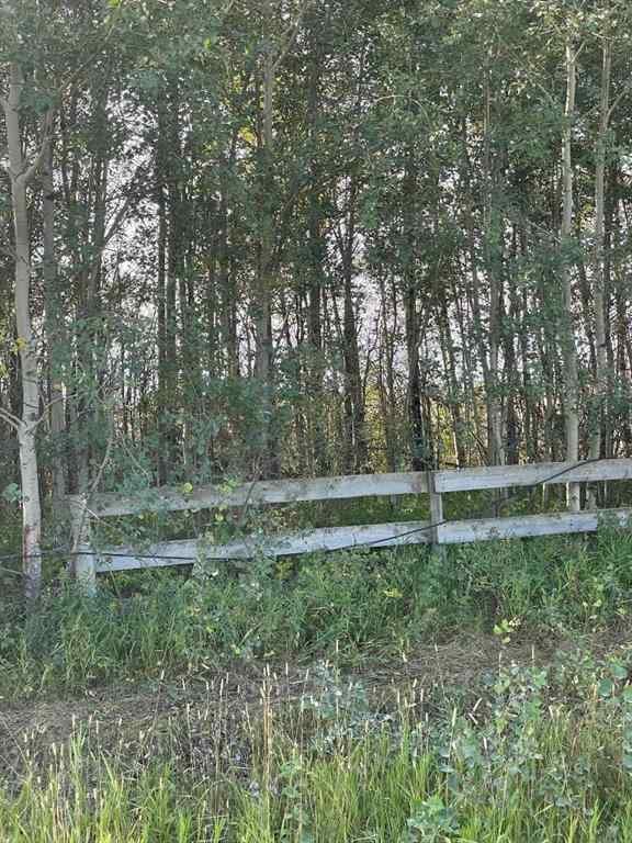 MLS® A1142192 -  Chinook Valley Road   in NONE Rural Northern Lights, County of, Land