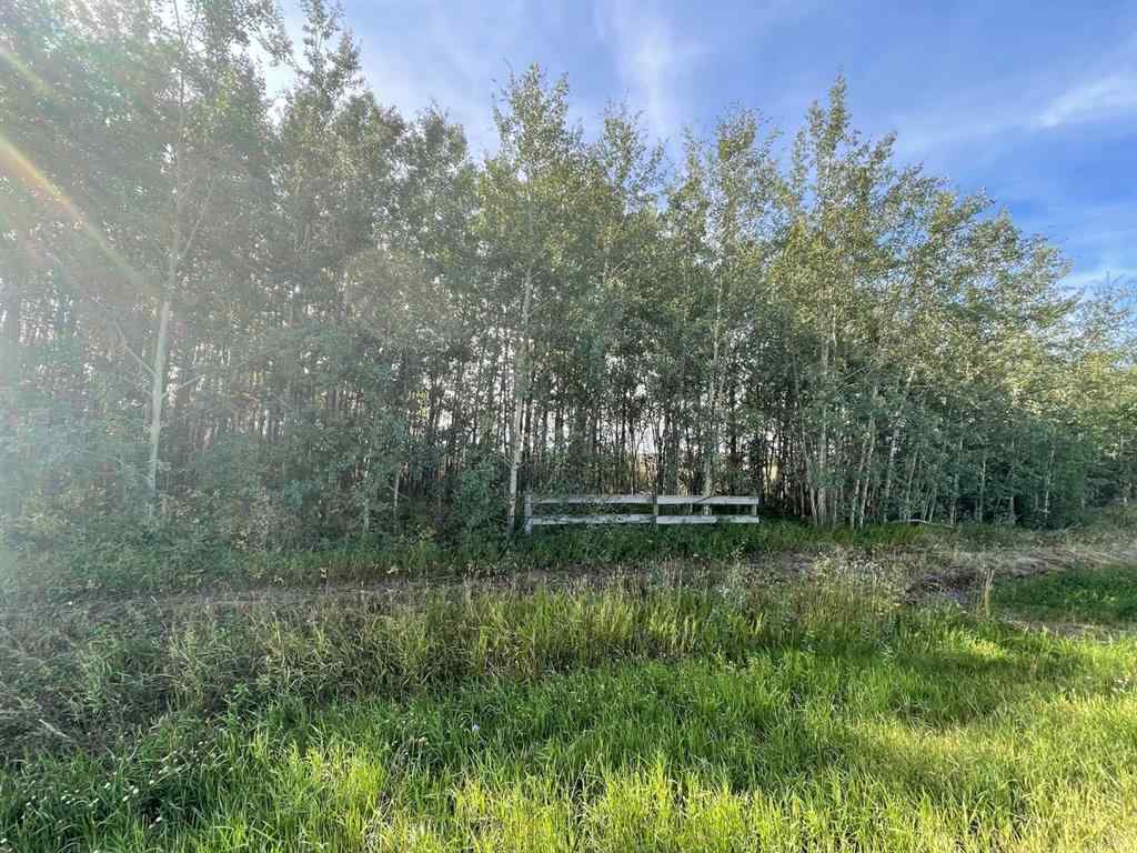 MLS® A1142192 -  Chinook Valley Road   in NONE Rural Northern Lights, County of, Land