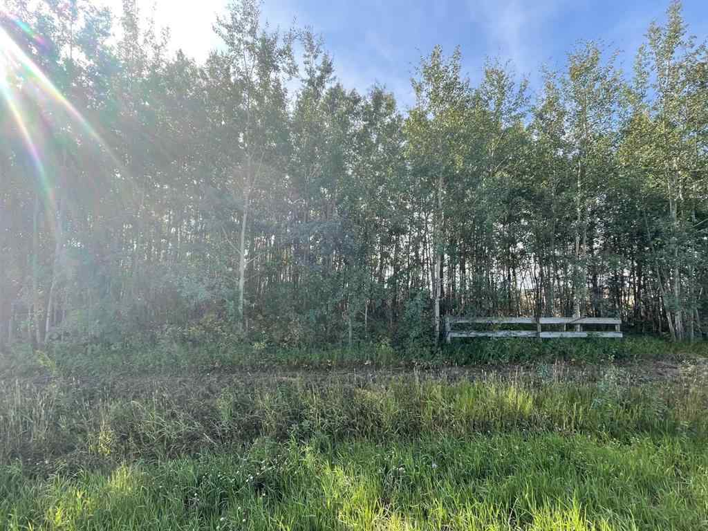 MLS® A1142192 -  Chinook Valley Road   in NONE Rural Northern Lights, County of, Land