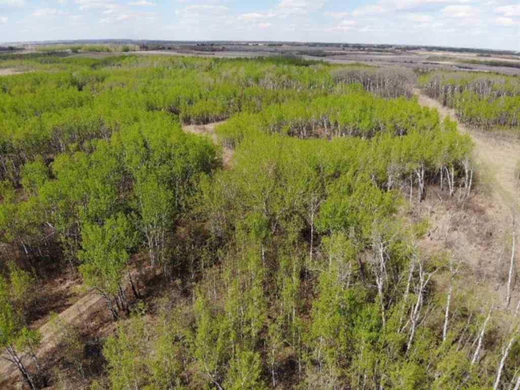 MLS® A1150648 - 450031 73 Range  in NONE Rural Wainwright No. 61, M.D. of, Land