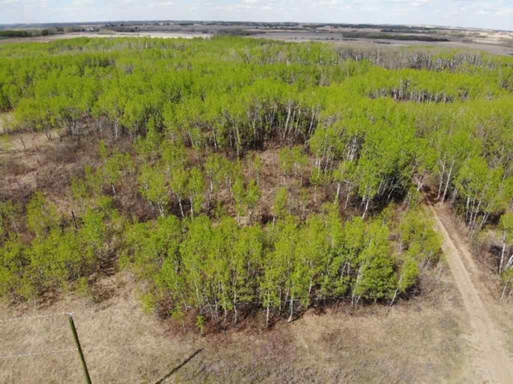 MLS® A1150648 - 450031 73 Range  in NONE Rural Wainwright No. 61, M.D. of, Land
