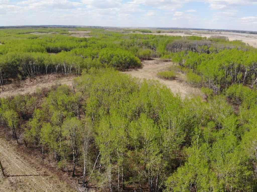 MLS® A1150664 - 14 450031 73 Range  in NONE Rural Wainwright No. 61, M.D. of, Land
