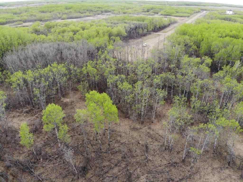MLS® A1150693 - 26 450031 73 Range  in NONE Rural Wainwright No. 61, M.D. of, Land