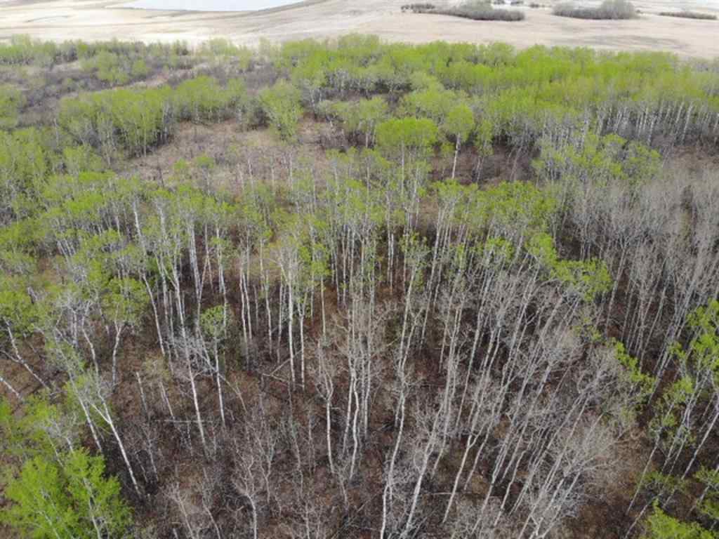 MLS® A1150693 - 26 450031 73 Range  in NONE Rural Wainwright No. 61, M.D. of, Land