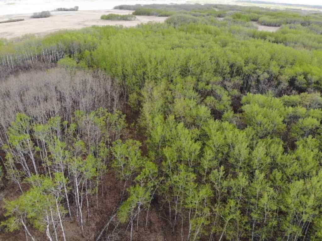 MLS® A1150693 - 26 450031 73 Range  in NONE Rural Wainwright No. 61, M.D. of, Land
