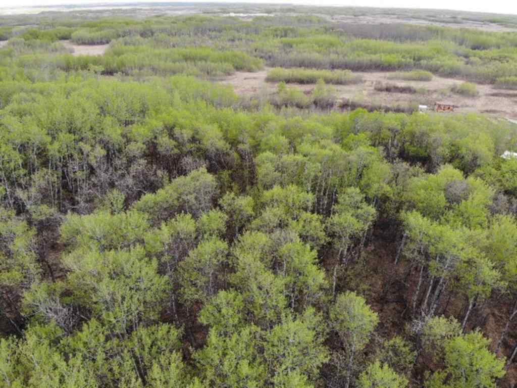 MLS® A1150695 - 29 450031 73 Range  in NONE Rural Wainwright No. 61, M.D. of, Land
