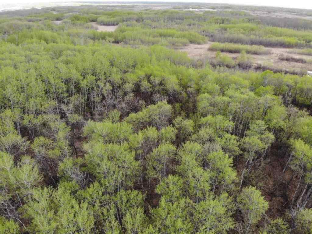 MLS® A1150699 - 25 450031 73 Range  in NONE Rural Wainwright No. 61, M.D. of, Land