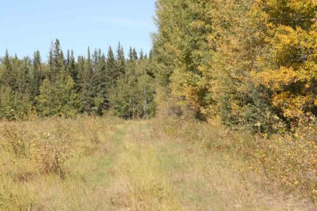MLS® A1157627 - 9660 88 Street  in NONE High Level, Land