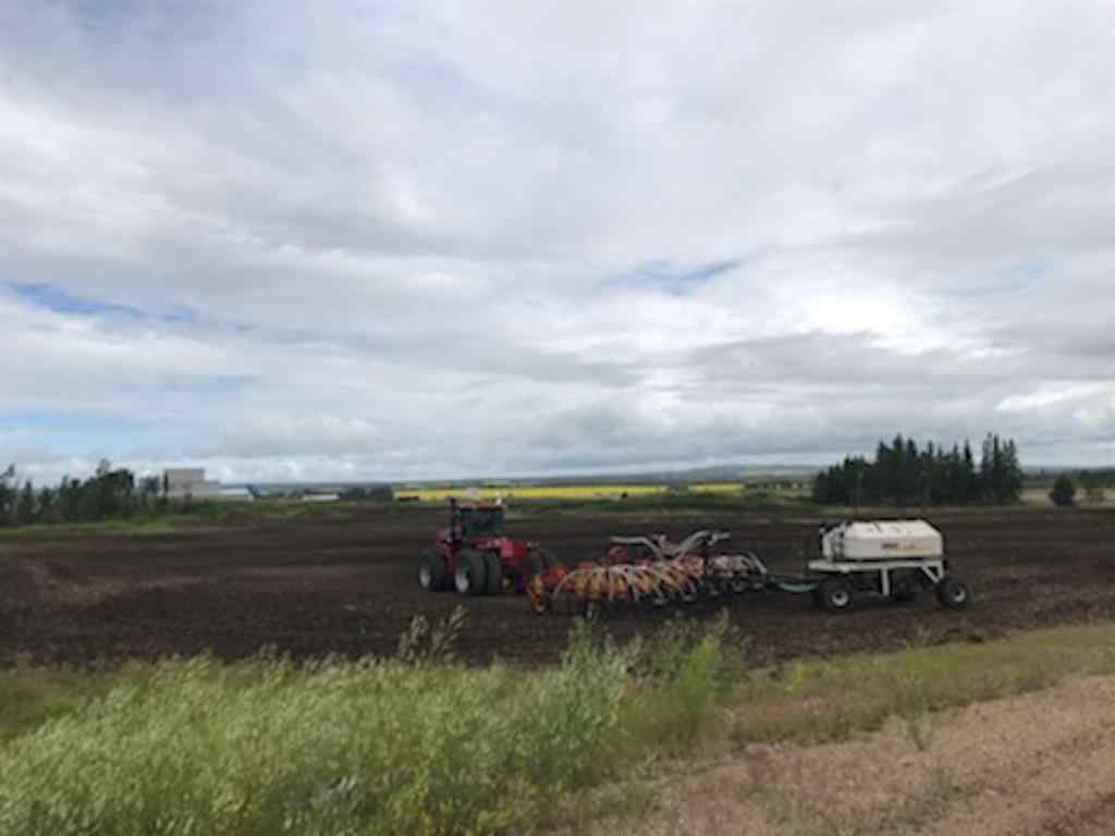 MLS® A1165121 - 9001 90 Street  in NONE Sexsmith, Land