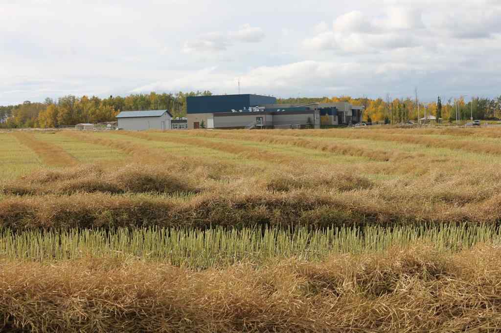 MLS® A1165127 - 9300 101 Street  in NONE Sexsmith, Land