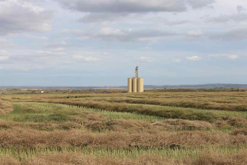 MLS® A1165129 - 10400 85 Avenue  in NONE Sexsmith, Land